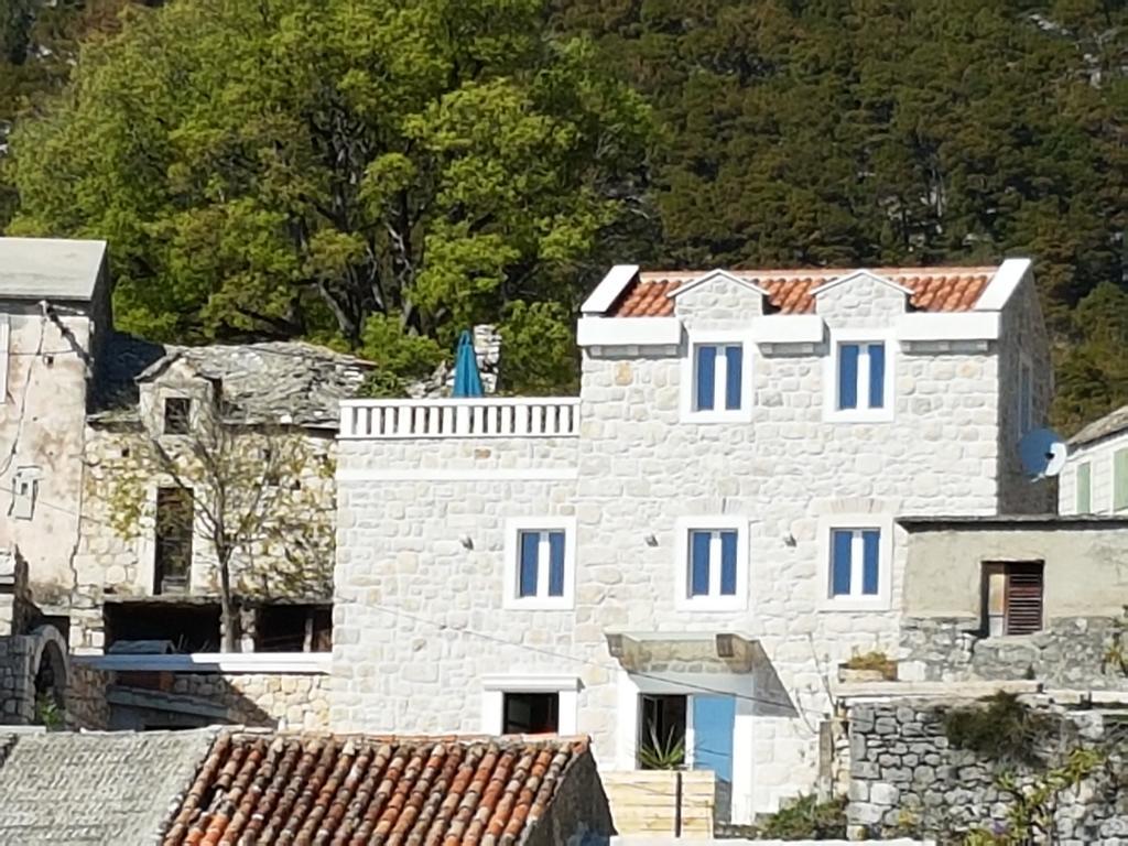 Villa Toni 马卡尔斯卡 外观 照片